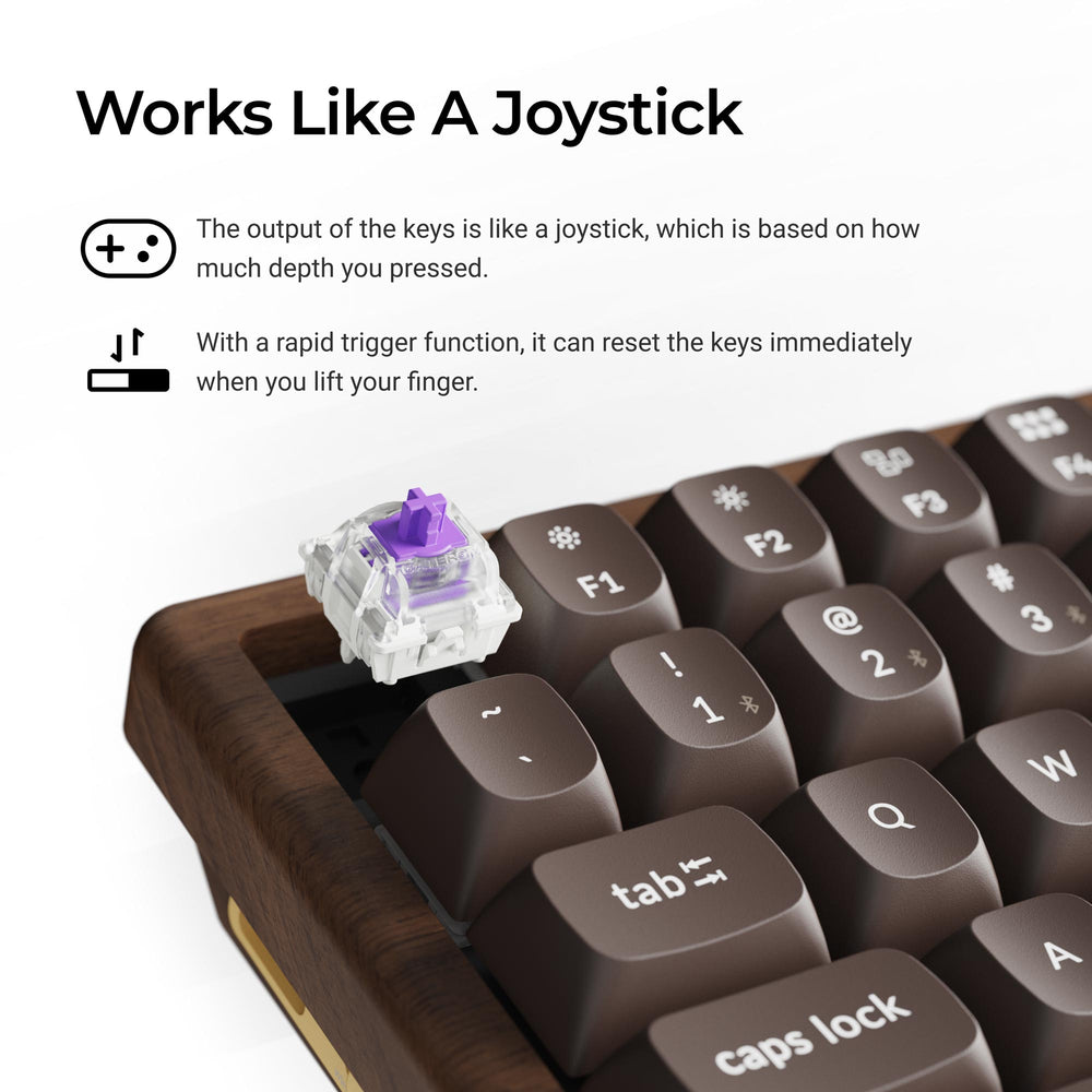 Teclado personalizado Keychron K2 HE Wireless Magnetic Switch (Edición especial de madera maciza)
