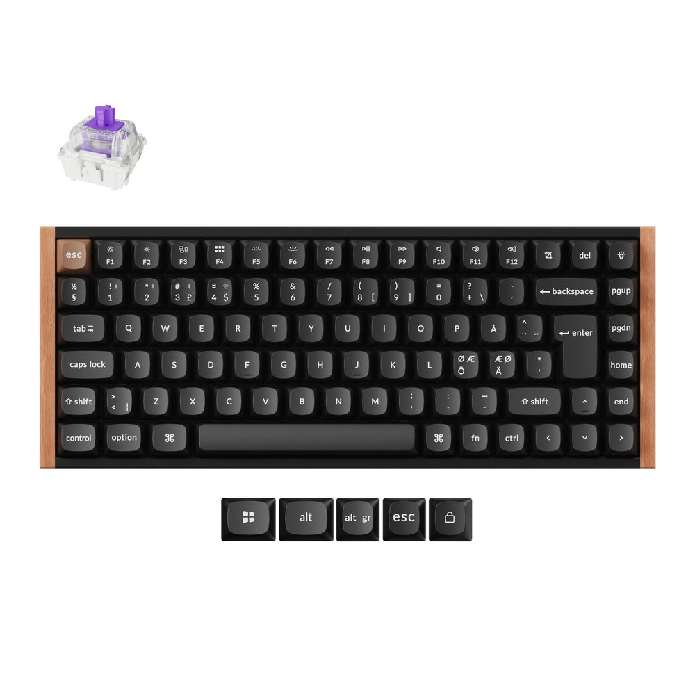 Colección de Teclados Personalizados Keychron K2 HE Inalámbricos con Interruptores Magnéticos - Diseño ISO