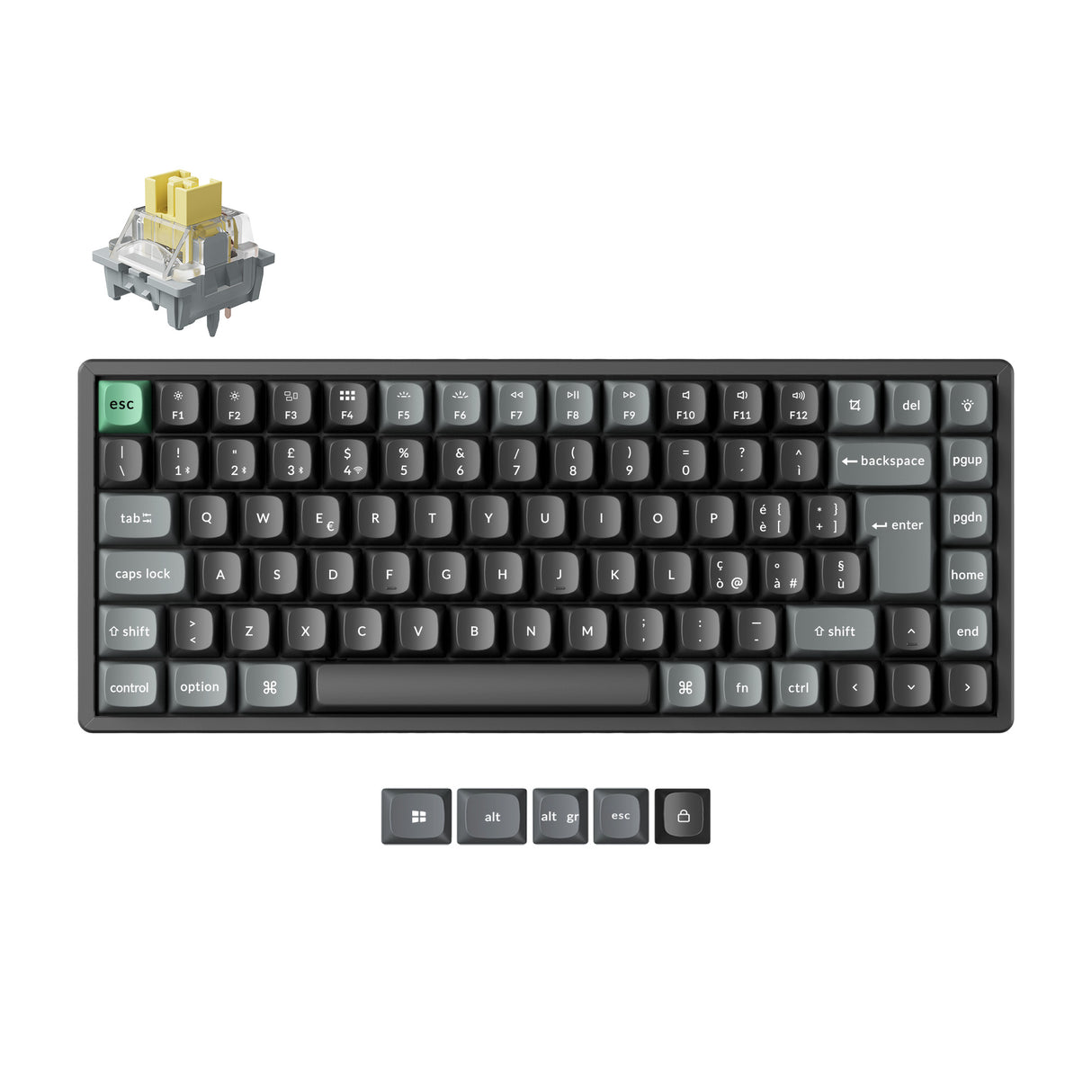 Teclado mecánico personalizado inalámbrico ultraligero 8K Keychron K10 Colección Layout ISO