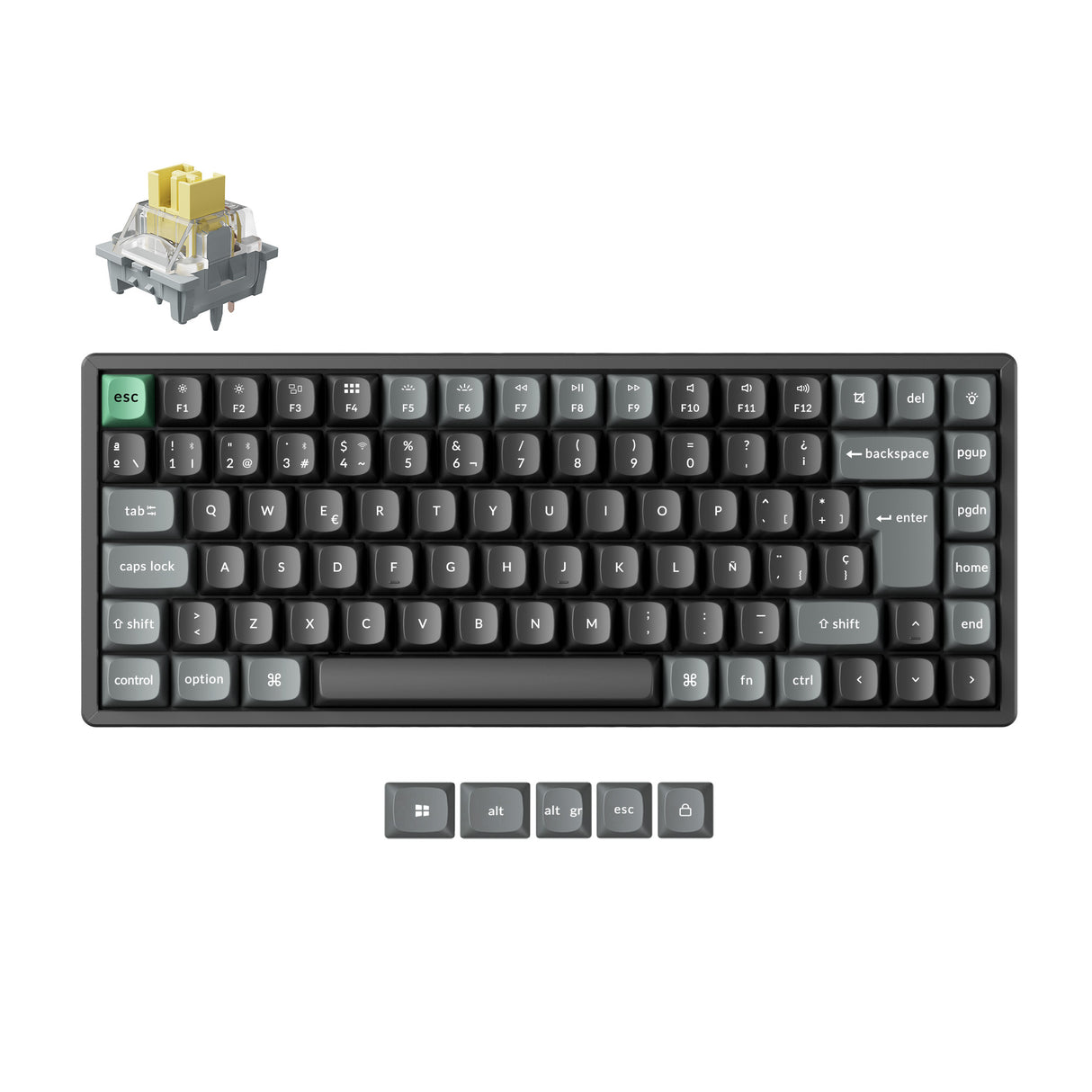 Teclado mecánico personalizado inalámbrico ultraligero 8K Keychron K10 Colección Layout ISO
