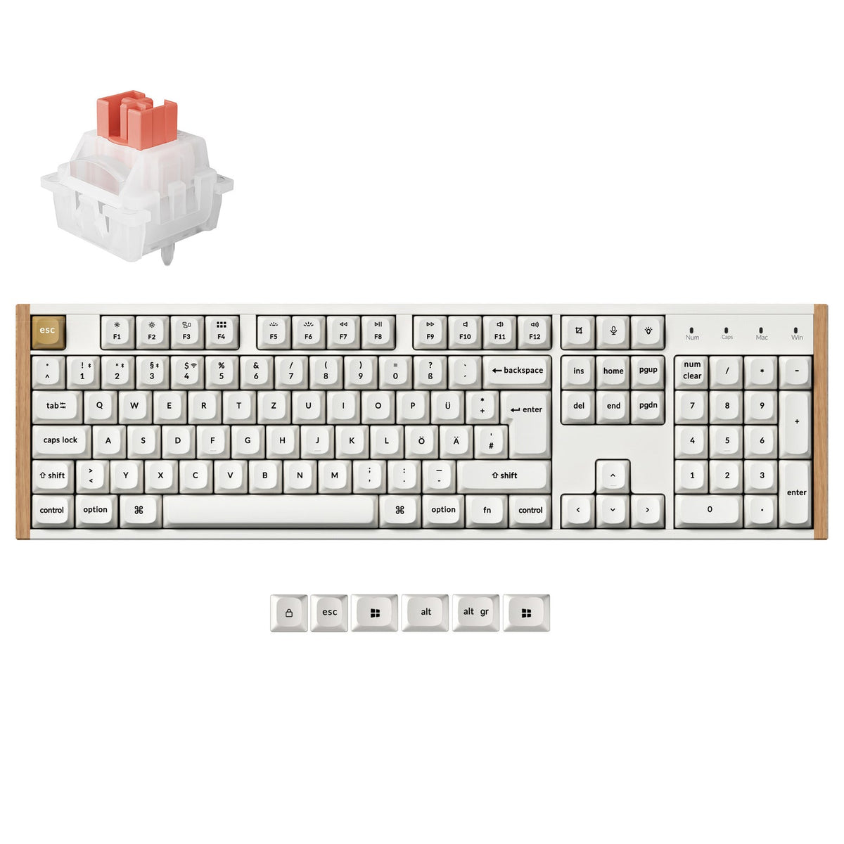 Teclado Personalizado Inalámbrico con interruptores Magnéticos Keychron K10 HE - Colección de Distribución ISO