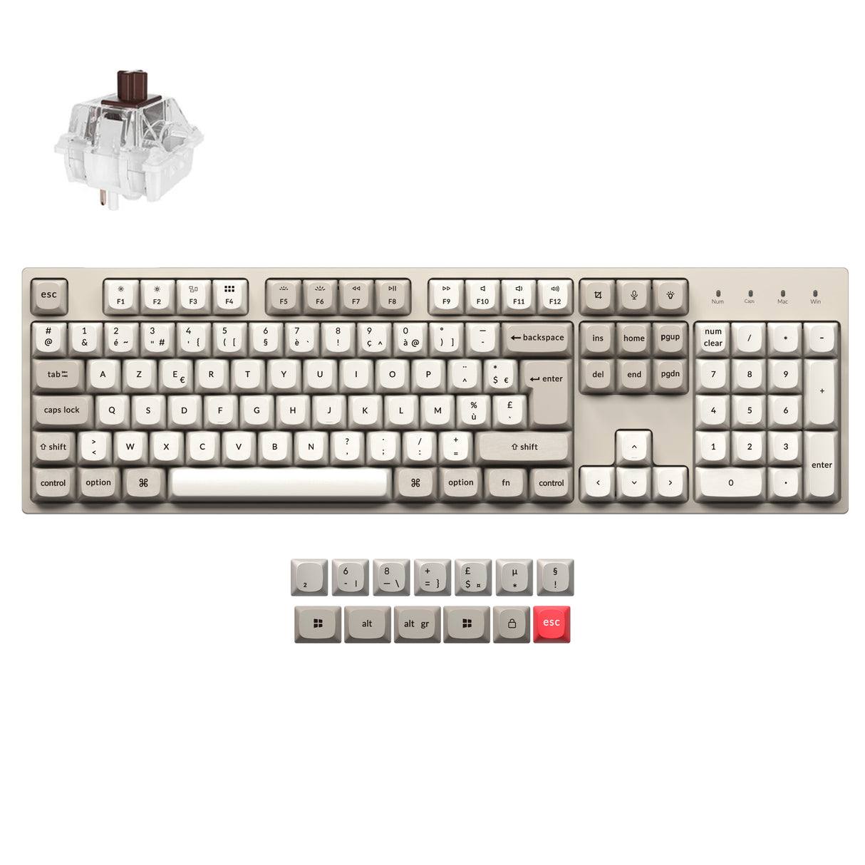 Keychron C2 Pro 8K QMK Teclado Mecánico Personalizado por Cable (Distribución US ANSI)