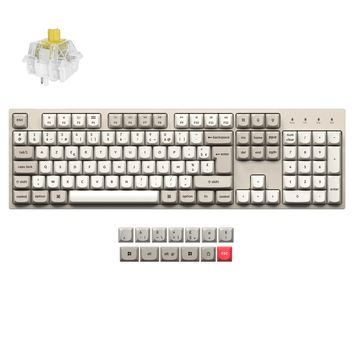 Keychron C2 Pro 8K QMK Teclado Mecánico Personalizado por Cable (Distribución US ANSI)