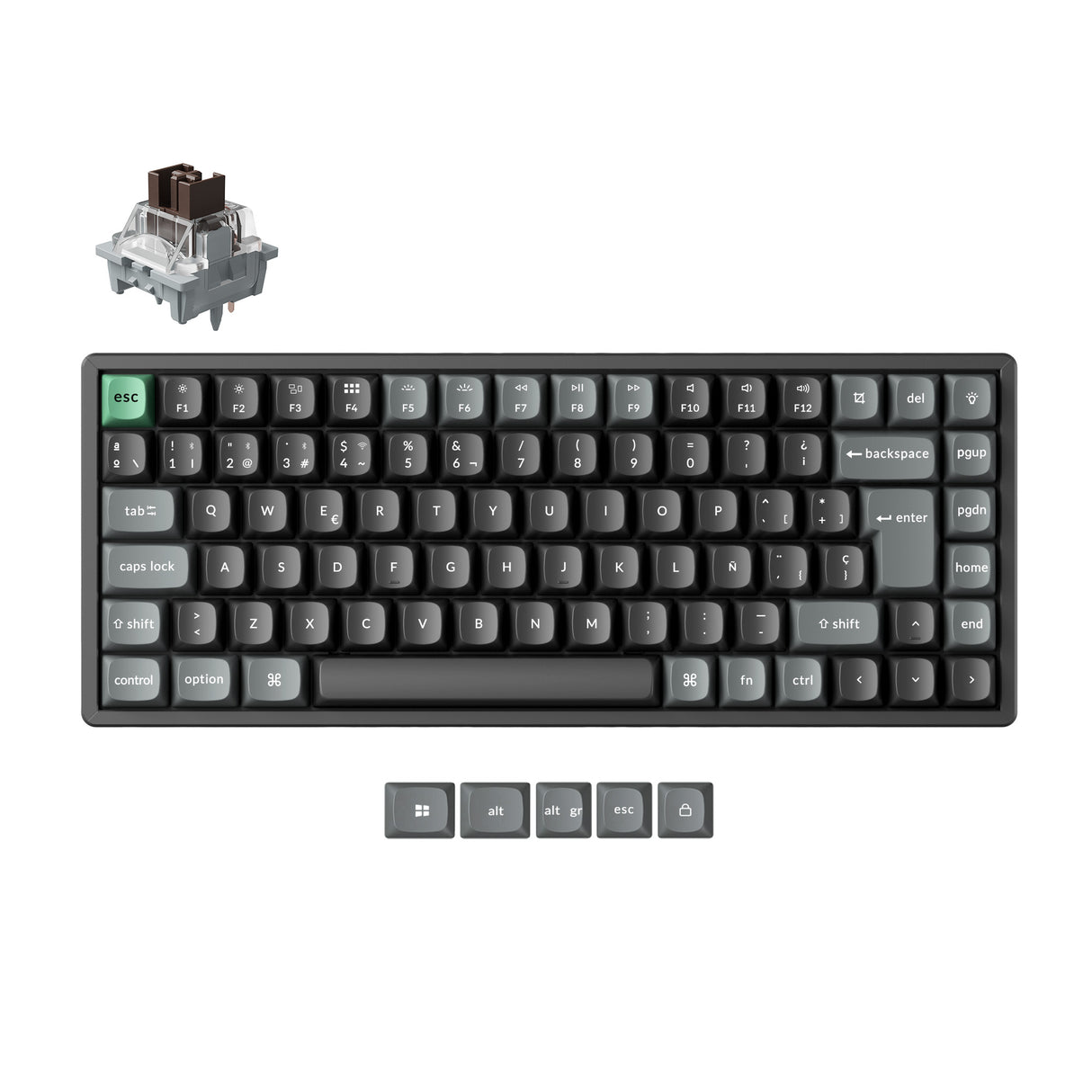 Teclado mecánico personalizado inalámbrico ultraligero 8K Keychron K10 Colección Layout ISO  
