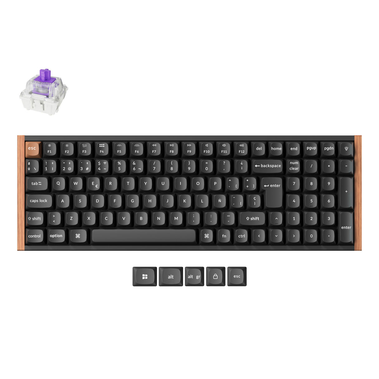 Teclado Personalizado Inalámbrico con interruptores Magnéticos Keychron K4 HE - Colección de Distribución ISO