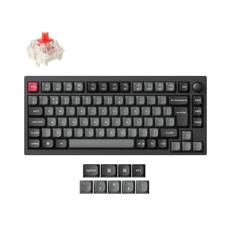 Colección de diseño ISO de teclado mecánico personalizado inalámbrico Lemokey P1 QMK