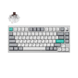 Lemokey P1 QMK/VIA Custom Gaming Keyboard (US ANSI Layout)