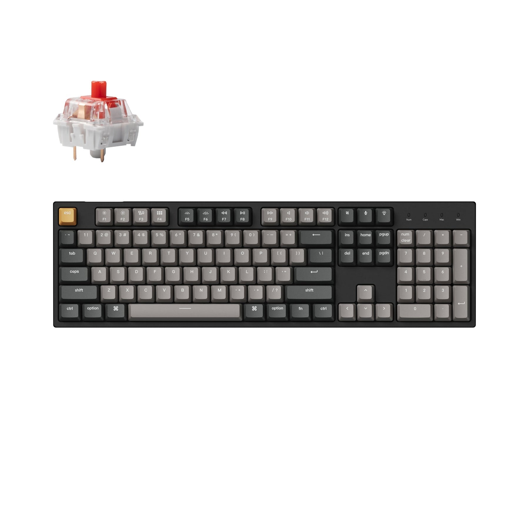 Teclado mecánico con cable Keychron C2 Pro QMK/VIA (teclado ANSI de EE. UU.)