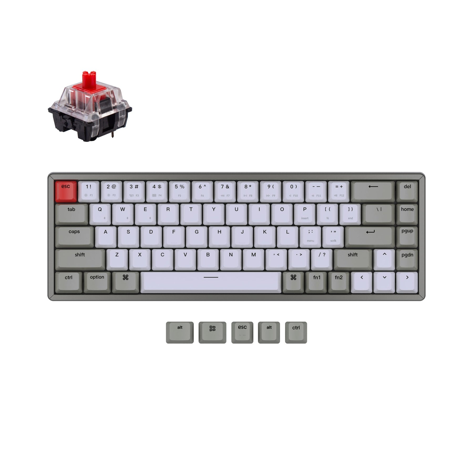 K2 (Hot-swappable) Wireless Mechanical Keyboard (Version-2...