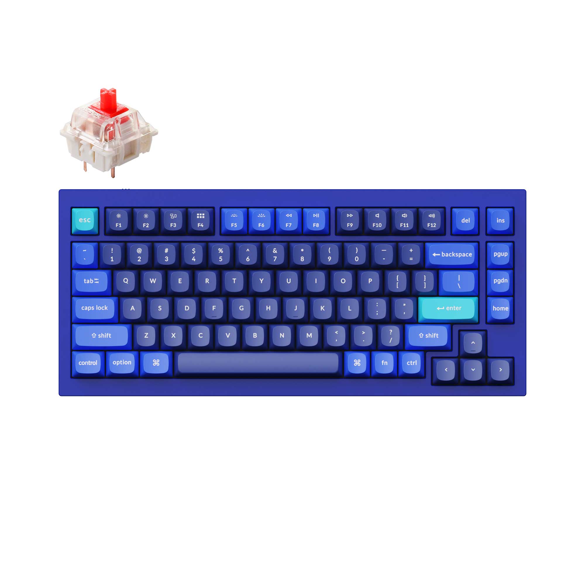 Keychron Q1 QMK VIA custom mechanical keyboard 75 percent layout full aluminum blue frame for Mac Windows iOS RGB backlight with hot swappable Gateron G Pro switch red