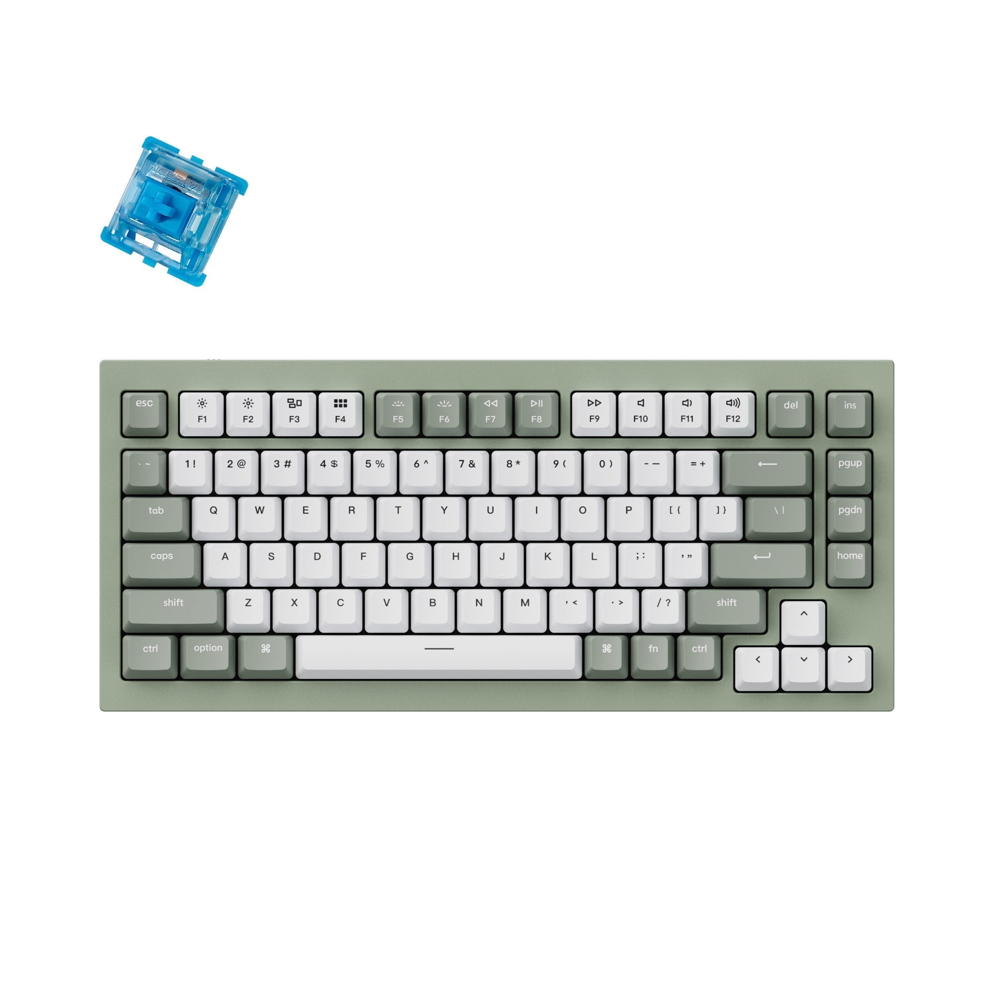 Keychron Q1 QMK/VIA Custom Mechanical Keyboard - green with Gateron Phantom blue switch
