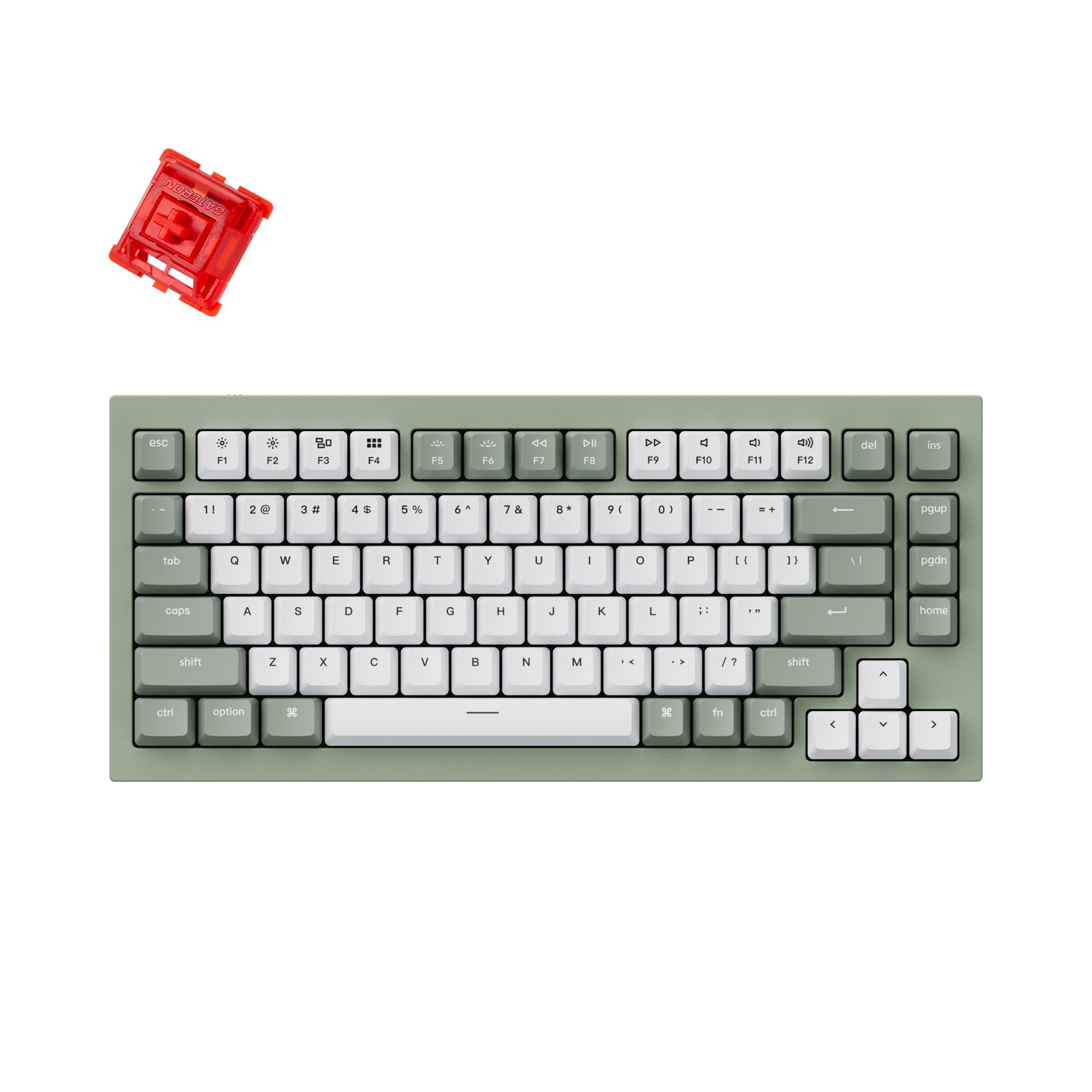 Keychron Q1 QMK/VIA Custom Mechanical Keyboard - green with Gateron Phantom red switch